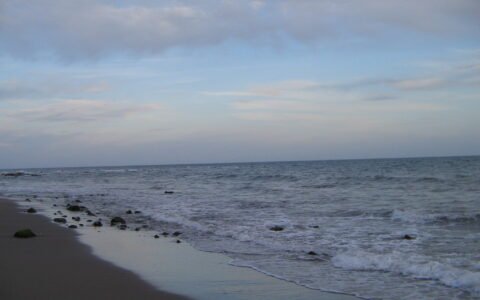 Playa Playa de Calahonda