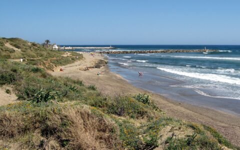 Playa Playa de Cabopino