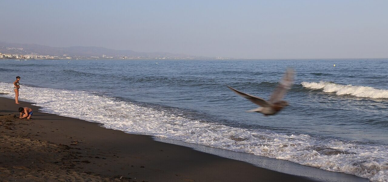 Playa de San Pedro Alcántara