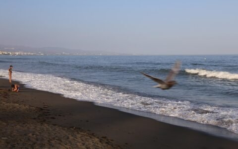 Playa de San Pedro Alcántara, Costa del Sol