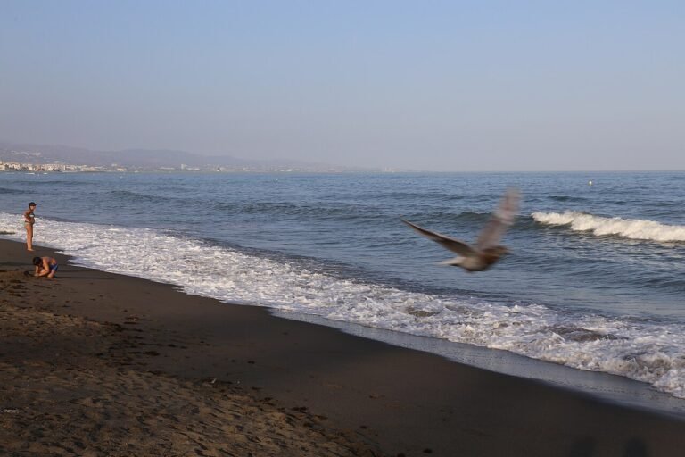 Playa de San Pedro Alcántara